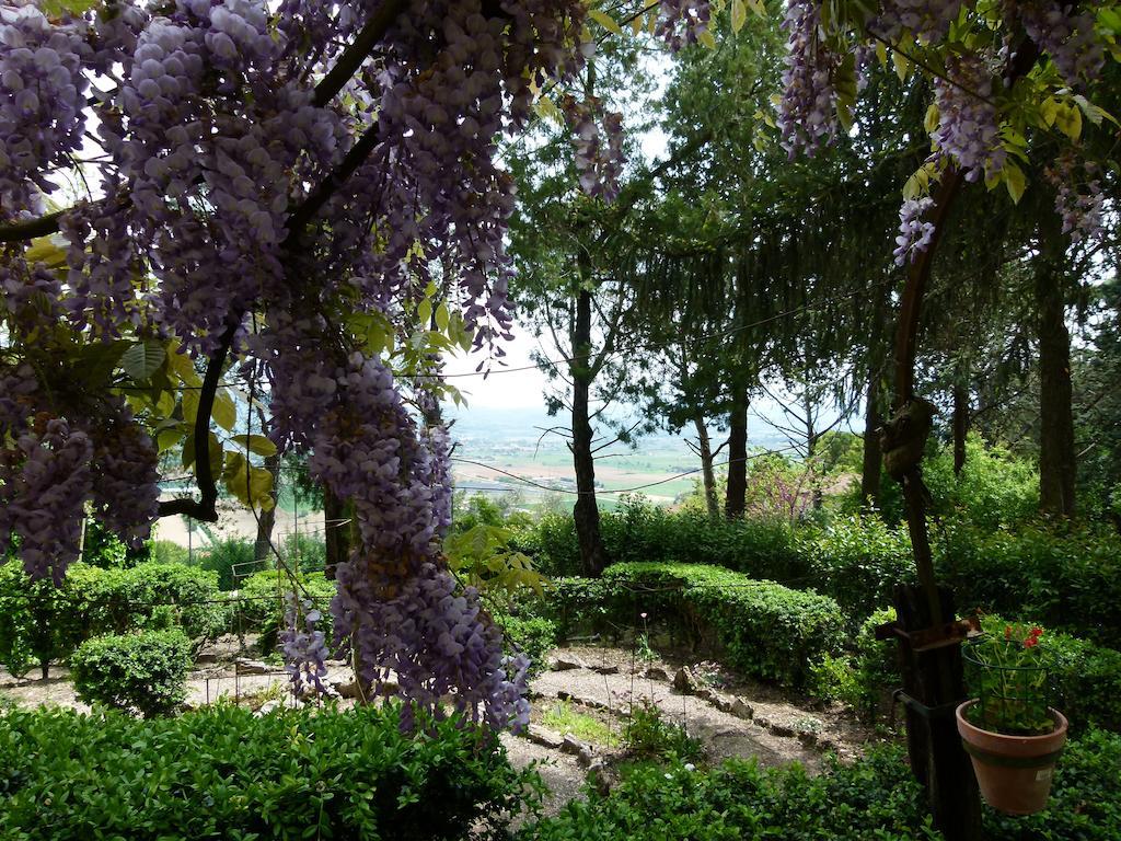 Sant'Enea Casa Fiorita Bed & Breakfast エクステリア 写真