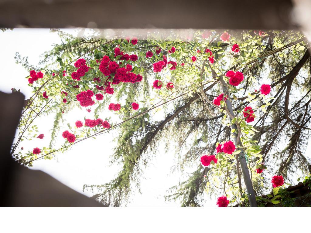 Sant'Enea Casa Fiorita Bed & Breakfast エクステリア 写真